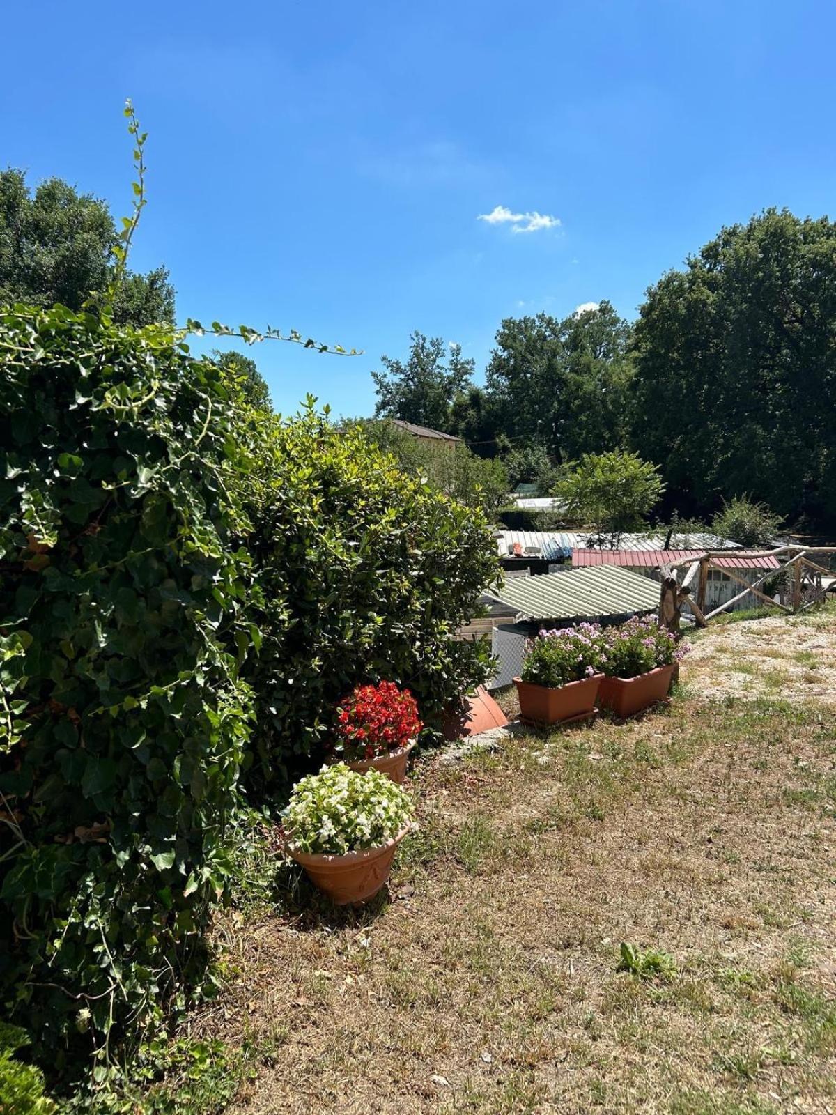 Affittacamere "Fratello Sole E Sorella Luna" Greccio Esterno foto
